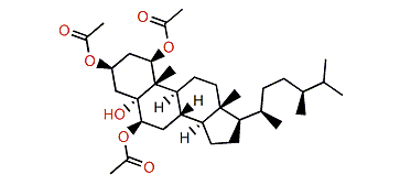 (24S)-Ergostane-1b,3b,5a,6b-tetrol 1,3,6-triacetate